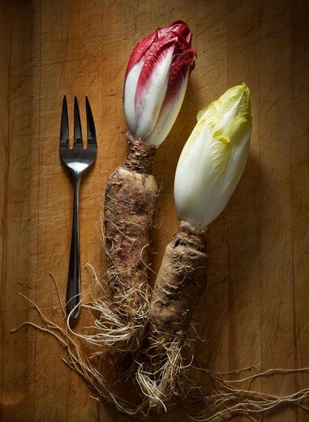 Red and White Endive