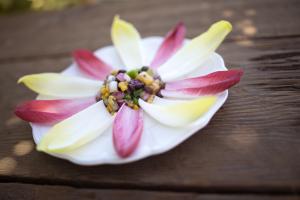 Latin Salsa and Endive Appetizer